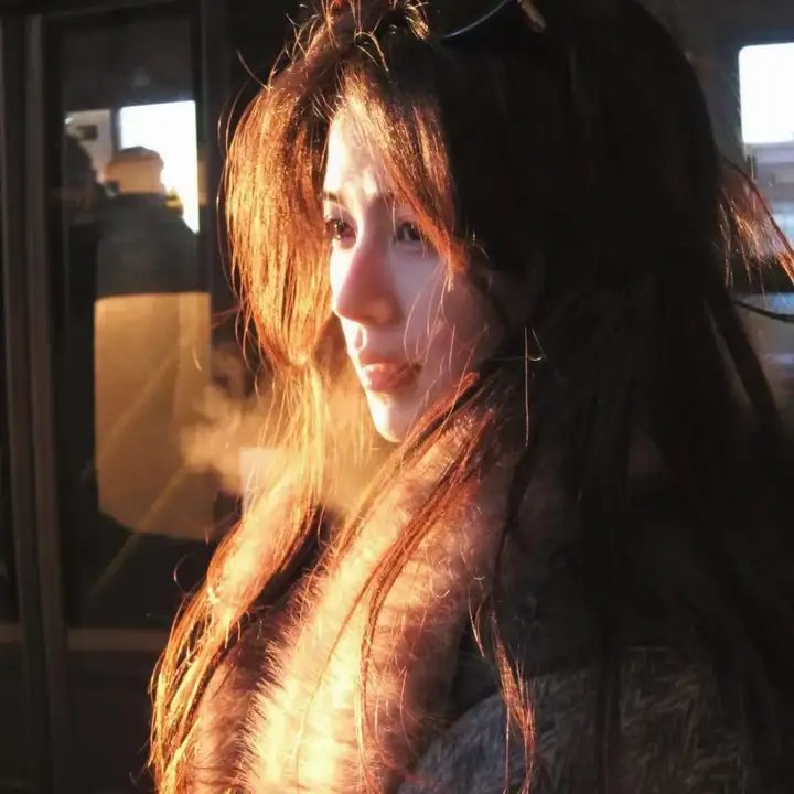 王冠的游戏：都铎家族